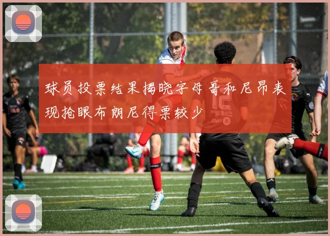 球员投票结果揭晓字母哥和尼昂表现抢眼布朗尼得票较少