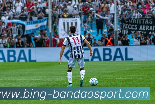 App Interface Preview