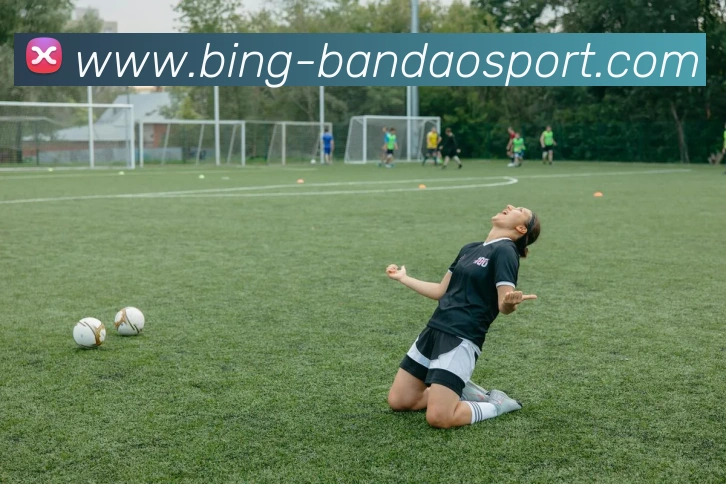 半岛体育APP 封面图